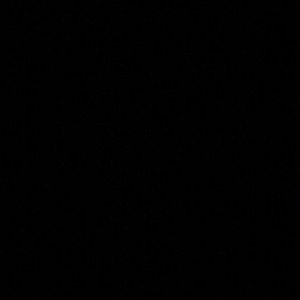 Meet your Posher, Carmen